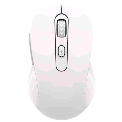 ADJ Pure Evo 6D 510-00047 — mouse ottico USB, 6 tasti, bianco