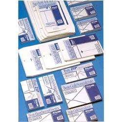 BLASETTI BUSTE DI CARTA TAGLIO A PUNTA SENZA FINESTRA 110X230 mm 70 GR COL. BIANCO CONF 40 Pz.
