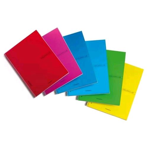 BLASETTI COLOR CLUB QUADERNO A4 70 GR QUADRETTI 5M SPIRALATO COPERTINA IN PPL 70 FOGLI CONF 6 Pz.