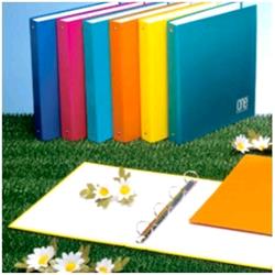 BLASETTI ONE COLOR RACCOGLITORE 4 ANELLI 25MM IN CARTONCINO 220X180MM A5 DORSO 2.5CM COL. ASSORTITI CONF 6 Pz.
