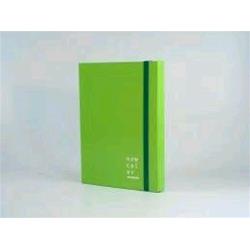 BREFIOCART NEW COLOR CARTELLE C/ELASTICO PIATTO IN CARTONCINO PLASTIFICATO 250X350MM A4 DORSO 3CM VERDE CHIARO
