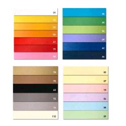 CARTOTECNICA FAVINI BRISTOL COLOR 200 CARTONCNI COLORATI 200GR 70X100 CM VERDE CONF 10 Pz.