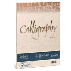 CARTOTECNICA FAVINI CANVAS 25 BUSTE 11X22 100 GR COLORE AVORIO