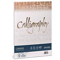 CARTOTECNICA FAVINI CANVAS 50 FOGLI A4 200 GR COLORE BIANCO