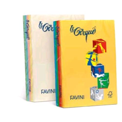 CARTOTECNICA FAVINI LE CIRQUE TENUI MIX RISMA DA 250 FOGLI 160 GR 21 X 29.7 CM A4 5 COLORI ASSORTITI
