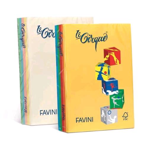 CARTOTECNICA FAVINI LE CIRQUE TENUI MIX RISMA DA 500 FOGLI 80 GR 21 X 29.7 CM A 4 COLORI ASSORTITI