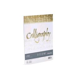 CARTOTECNICA FAVINI LINO 50 FOGLI A4 120 GR COLORE BIANCO
