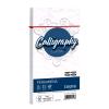 CARTOTECNICA FAVINI PERGAMENA 25 BUSTE 11X22 90 GR COLORE BIANCO