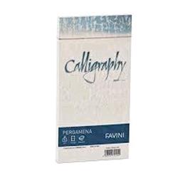 CARTOTECNICA FAVINI PERGAMENA 25 BUSTE 11X22 90 GR COLORE NATURALE
