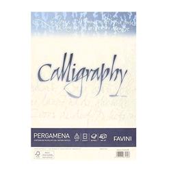 CARTOTECNICA FAVINI PERGAMENA 50 FOGLI A4 190 GR COLORE CREMA