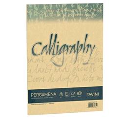 CARTOTECNICA FAVINI PERGAMENA 50 FOGLI A4 190 GR COLORE ORO