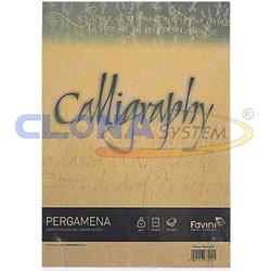 CARTOTECNICA FAVINI PERGAMENA 50 FOGLI A4 90 GR COLORE CREMA