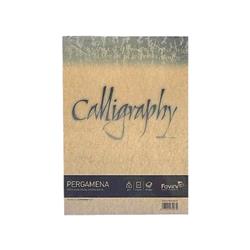 CARTOTECNICA FAVINI PERGAMENA 50 FOGLI A4 90 GR COLORE NOCCIOLA