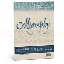CARTOTECNICA FAVINI PERGAMENA 50 FOGLI A4 90 GR COLORE SABBIA