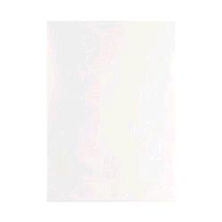 ESSELTE DEUXE BUSTE A L ANTIRIFLESSO IN PP CM 22X30 TRASPARENTE CONF 100 Pz.