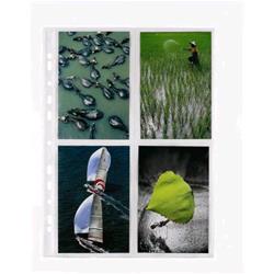 FAVORIT ARCHIVIO BUSTE CON FORATURA UNIVERSALE IN PP CM 22.5X31.5 PORTA FOTO 4 TASCHE TRAPARENTE CONF 10 Pz.