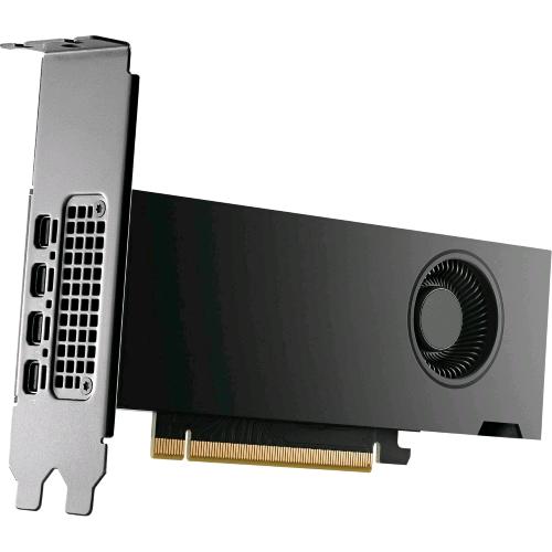 HP NVIDIA RTX 2000 Ada — scheda grafica 16 GB, 4 mini DisplayPort