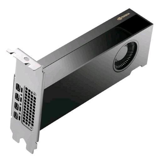 HP NVIDIA RTX PRO 2000 Blackwell — scheda grafica 16 GB, 4 mini DisplayPort
