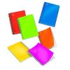 PIGNA MIDI BLOCCO SPIRATATO 80 GR 100X150 mm 70 FOGLI A QUADRETTI 5M COLORI ASSORTITI CONF 10 Pz.