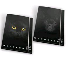 PIGNA MONOCROMO BLACK CARTELLA 3 LEMBI IN CARTONE CON ELASTICO A4 DORSO 1.3 CM CONF 6 Pz.