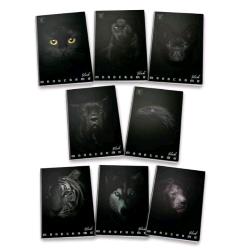 PIGNA MONOCROMO BLACK QUADERNO A4 100 GR RIGHE 0C 20 FOGLI CONF 10 Pz.