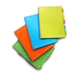 PIGNA MONOCROMO BLOCCO A4 80 GR RIGHE 1R COL. ASSORTITI FLUO CONF 5 Pz.