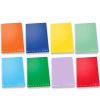 PIGNA MONOCROMO QUADERNO PUNTO METALLICO 100 GR A4 24 FOGLI A QUADRETTI 5M COLORI ASSORTITI CONF 5 Pz.