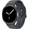 Samsung Galaxy Watch8 44 mm LTE, grafite