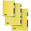 SEI ROTA RECORD INTERCALARE NEUTRO IN PP TASTI SCRIVIBILI FORATURA UNIVERSALE 210X297 mm COLORI ASSORTITI CONF 12 Pz.