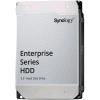 Synology HAS5310-20T, hard disk NAS 20 TB da 3,5 pollici, SAS 12 Gbit/s