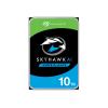 Seagate SkyHawk AI 10 TB — HDD interno 3,5 pollici SATA 6 Gb/s, ST10000VE001