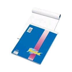 BLASETTI BRISTOL BLOCCHI A5 50 GR QUADRETTI 5M 60 FOGLI CONF 10 Pz.
